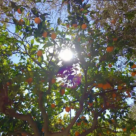 Casa de Férias Borgo Casinello *