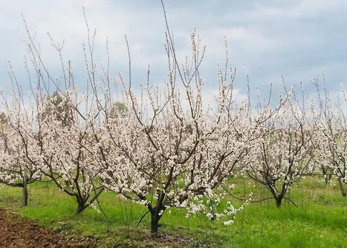 Casa de Férias Borgo Casinello *