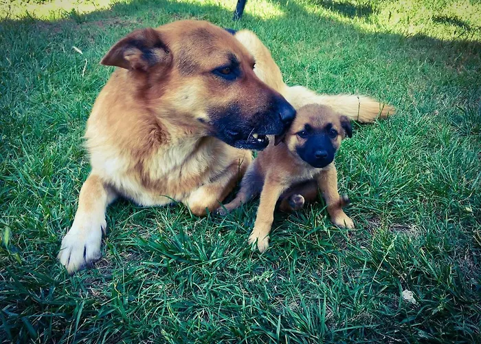 Borgo Casinello Casa de Férias