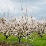 펜션 Borgo Casinello *