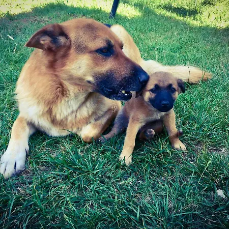 Borgo Casinello Hébergement de vacances